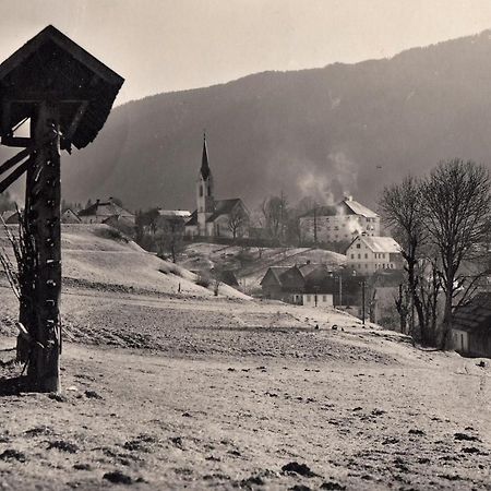 Apartments Edelweiss & Enzian - Gaestehaus Zum Fuchs Hermagor-Pressegger See Dış mekan fotoğraf